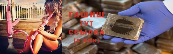 гашик Елизово