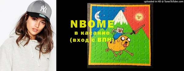 гашик Елизово