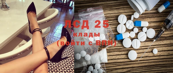 гашик Елизово