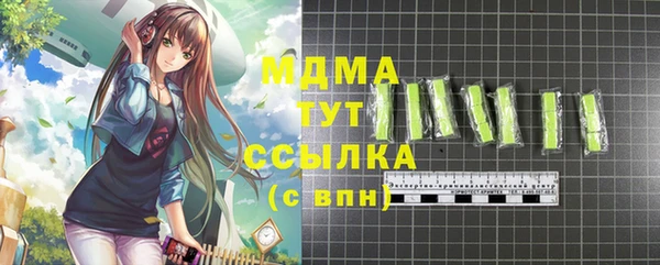 гашик Елизово