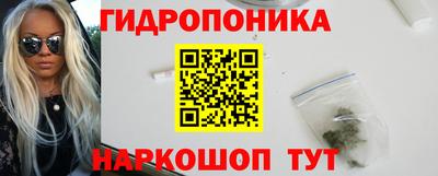 spice Камышлов