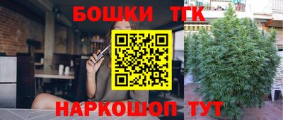 spice Камышлов