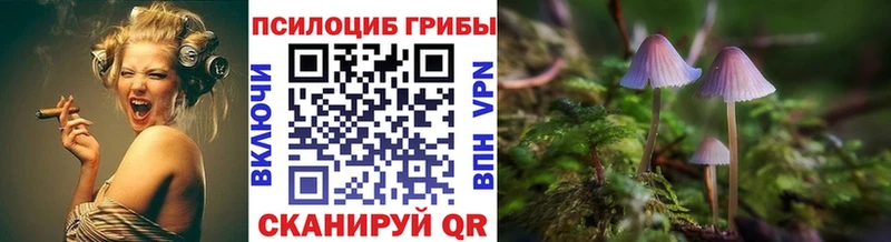Псилоцибиновые грибы GOLDEN TEACHER  Советск 